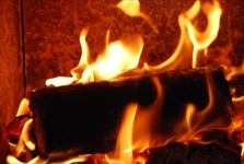 wood briquette burning with flames