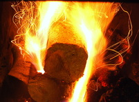 Wood briquettes burning with bright flames - Wood Fuel Co-operative