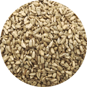 a close up of sunflower hearts for wild bird feeding - Wood Fuel Co-operative