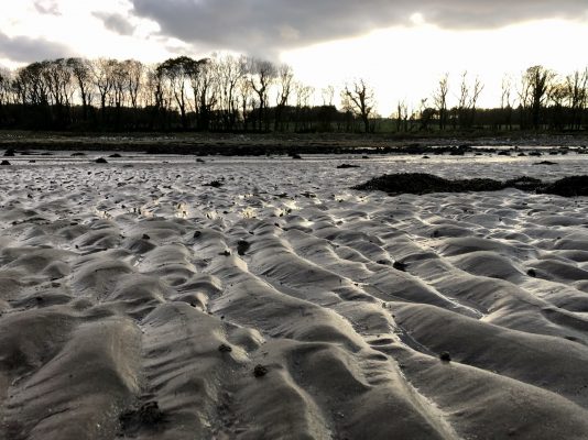 Rigg bay sands looking back to shore - Wood Fuel Co-operative