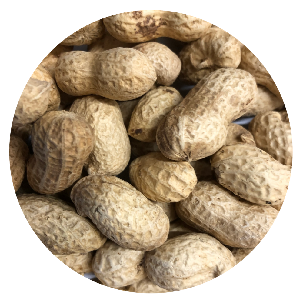 groundnuts monkey nuts for squirrels woodfuel coop