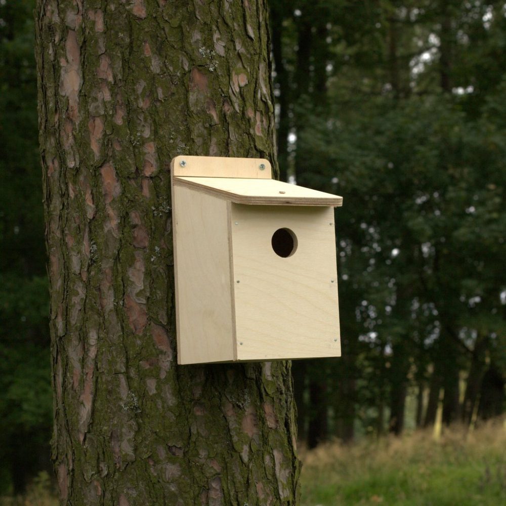nestbox co build your own bird house kit woodfuel coop