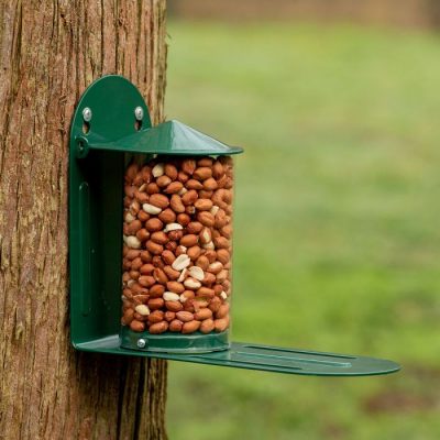 National trust metal squirrel feeder attached to a tree woodfuel cooperative