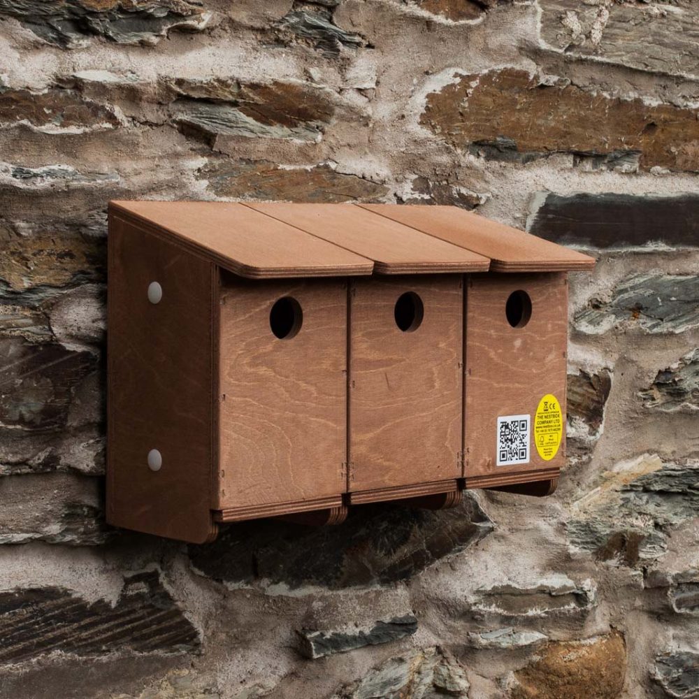 nestbox co sparrow terrace woodfuel coop