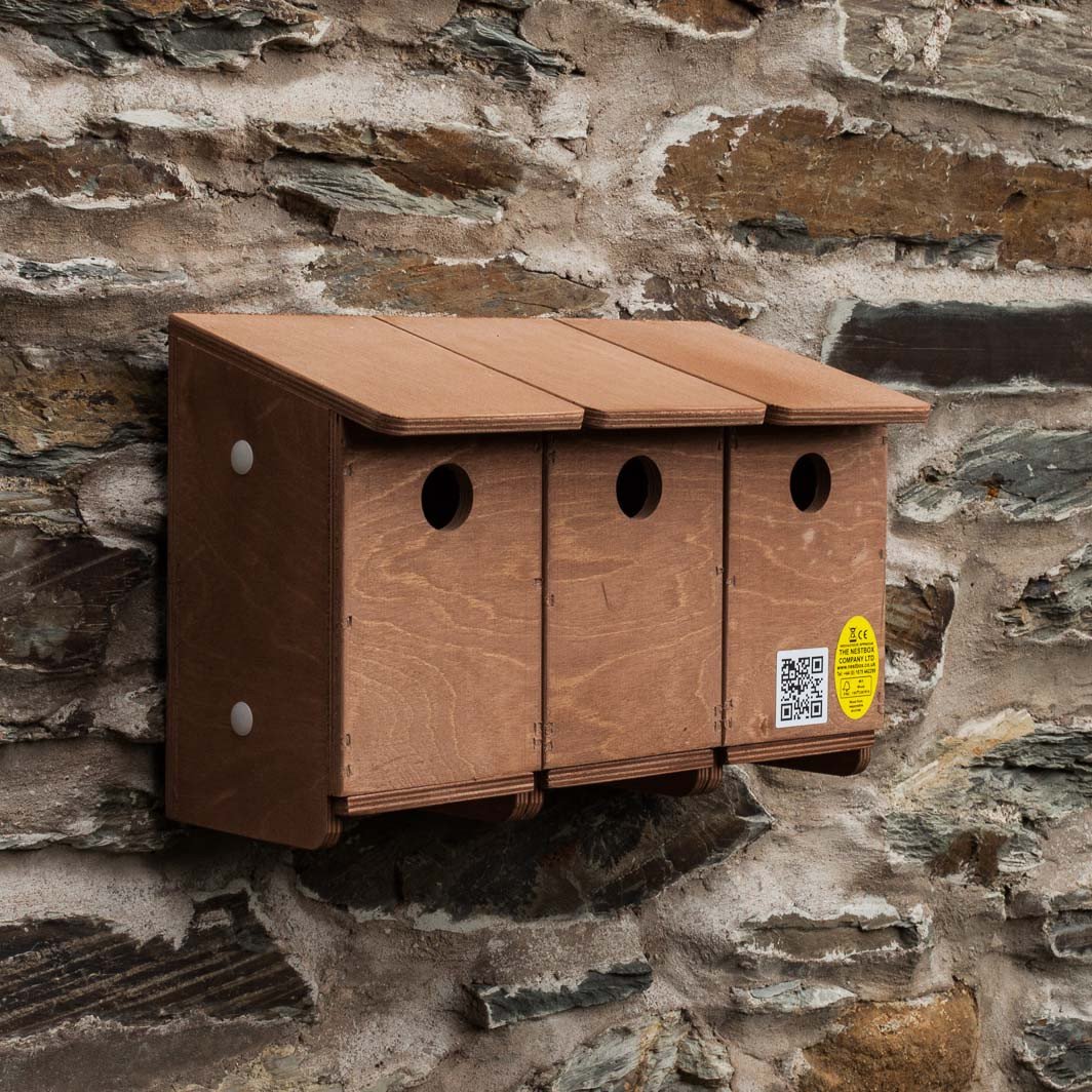 Nestbox co sparrow terrace nesting box Woodfuel Cooperative