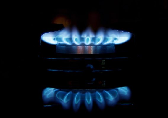 gas burner with blue flames - Wood Fuel Coop